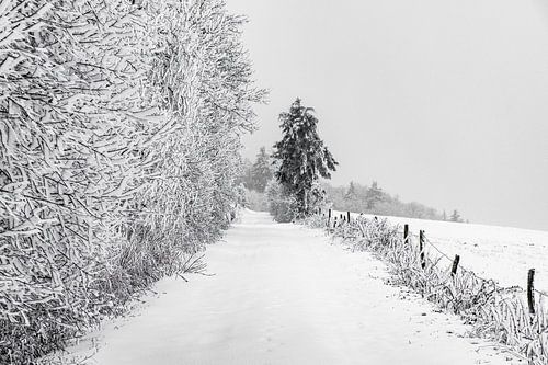 Wintermagie in de Rhön