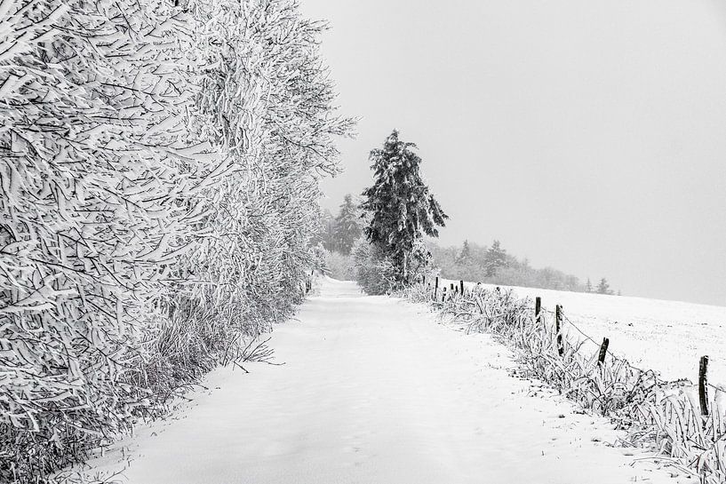 Winterzauber in der Rhön von Holger W. Spieker