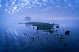 ijssel uiterwaarden van Rick Kloekke