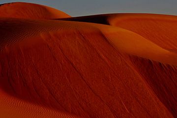 WOESTIJN 2 van Miroslav Ptacek