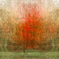 Evengarden I The tree as a symbol of nature