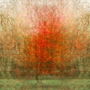 Avondtuin I De boom als symbool van de natuur van Nicole Holz