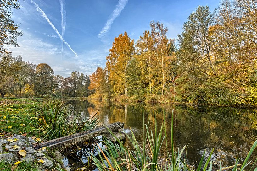 Farbenfroher Herbst am Mühlbachsee von Uwe Ulrich Grün