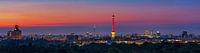 Berlin Skyline Panorama im Sonnenaufgang von Frank Herrmann Miniaturansicht