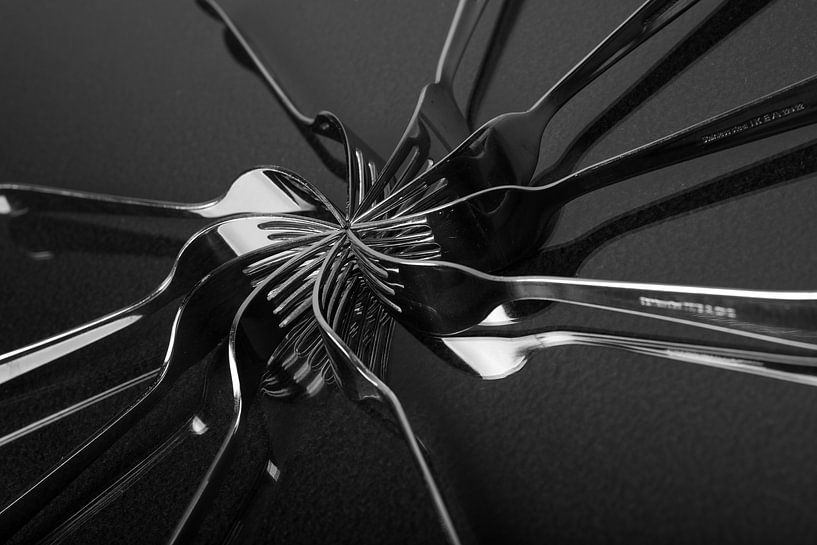 10 forks by Danny van houtum