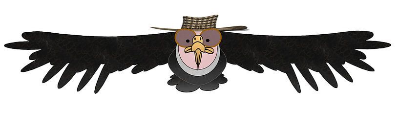 Condor with sombrero vueltiao by Grüntyers .