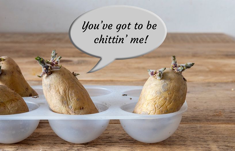 "you've got to be chittin' me". by Grüntyers .