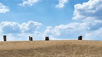 Wekeromse Zand III, boomstronken op een duin van Ronald Smits thumbnail