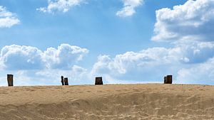 Wekeromse Zand III, tree stumps on a dune