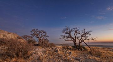 Early morning on Kubu Island