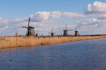 Holland Windmills van Brian Morgan