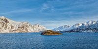 Die schöne Landschaft Norwegens von Rene van Dam Miniaturansicht
