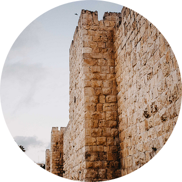 Stadsmuur Jeruzalem van Lauri Miriam van Bodegraven