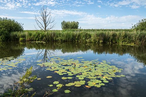 Tankval Naarden Vesting