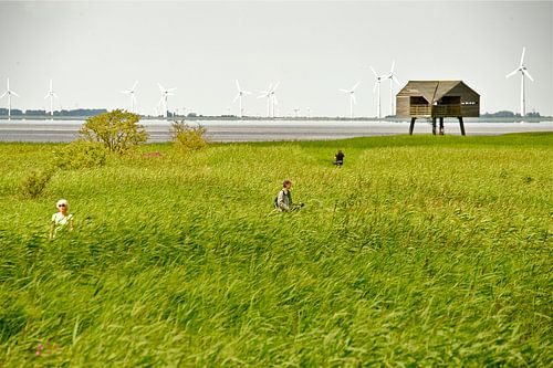 Birdwatching hut De Kiekkaaste