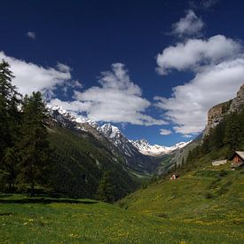 French Alps by Wim Frank