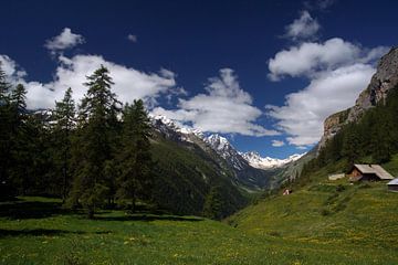 Französische Alpen von Wim Frank