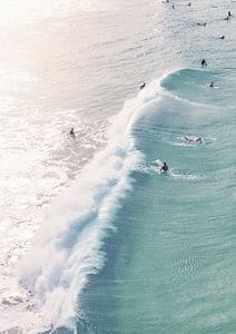 Surfing van David Potter
