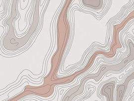 Abstrakte topografische Höhenlinien in Taupe und warmen, neutralen Farbtönen von Alfonz