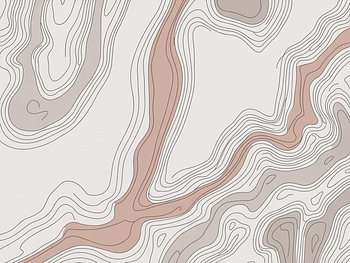 Abstract Topographic Contour Lines in Taupe and Warm Neutral Tones