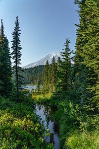 Stratovulkan Mount Rainier.