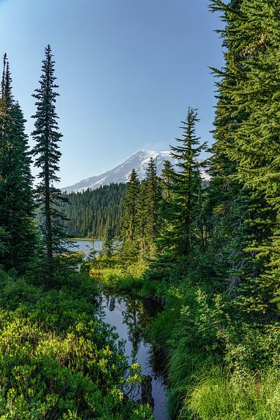 Stratovolcano Mount Rainier. by Jaap van den Berg