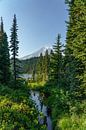 Stratovolcano Mount Rainier. by Jaap van den Berg thumbnail
