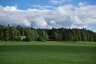 Finnish landscape by Martijn Stoppels thumbnail