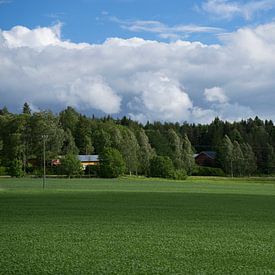 Fins landschap van Martijn Stoppels