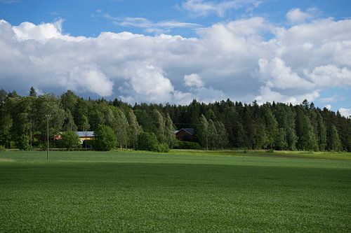 Fins landschap