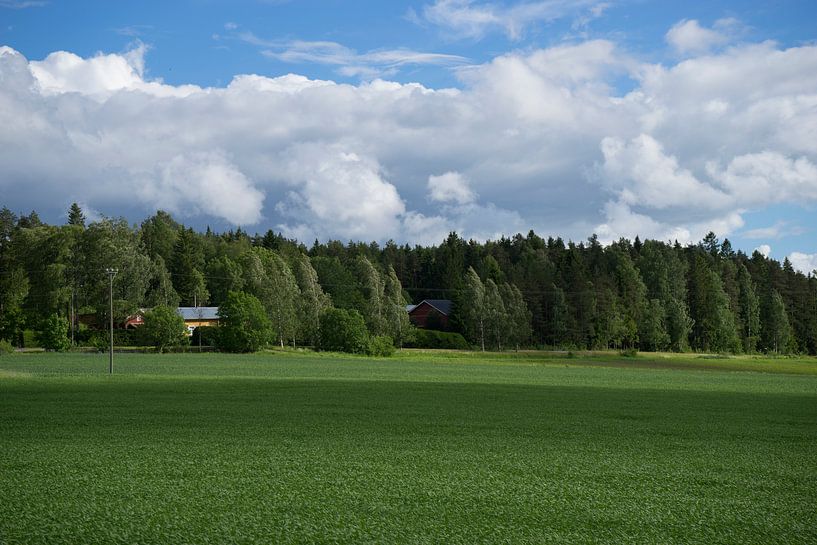 Finnish landscape by Martijn Stoppels