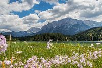 Lautersee