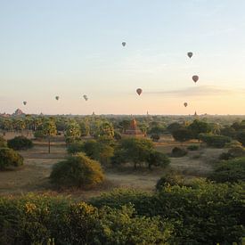 Hot Air Balloons above Bagan, Myanmar van Jesper Boot