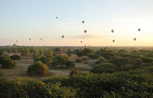 Hot Air Balloons above Bagan, Myanmar van Jesper Boot