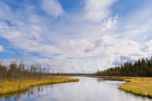 Uitzicht over wijds landschap met beek