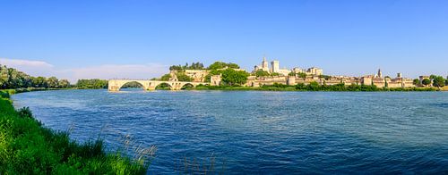 Uitzicht op Avigon aan de rivier de Rhône met de Pont d'Avignon