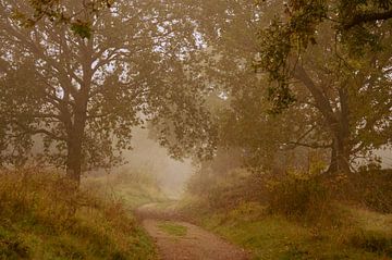 herfstlandschap in bruintinten van Lilian Photography