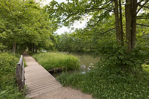 Bruggetje langs de Kromme Rijn bij Amelisweerd von Marijke van Eijkeren