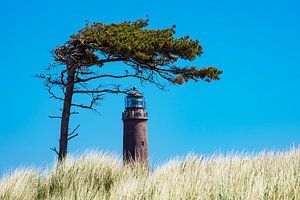 Lighthouse on the Baltic Sea coast sur Rico Ködder