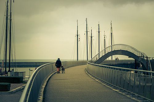 Wandelaar met hond op de boulevard in Harlingen