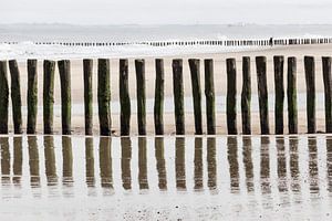 strandpalen bij domburg
