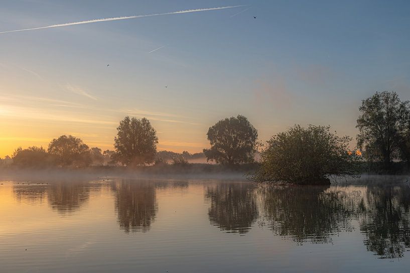 Meinerswijk part 69 by Tania Perneel