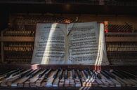 music brings the sun into your life by Jan van de Riet thumbnail