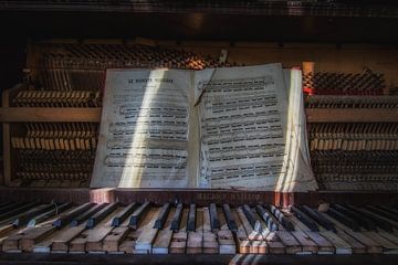 muziek brengt de zon in je leven van Jan van de Riet