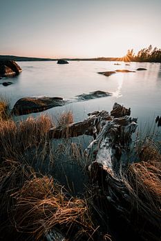 Coucher de soleil scandinave avec texture de bois