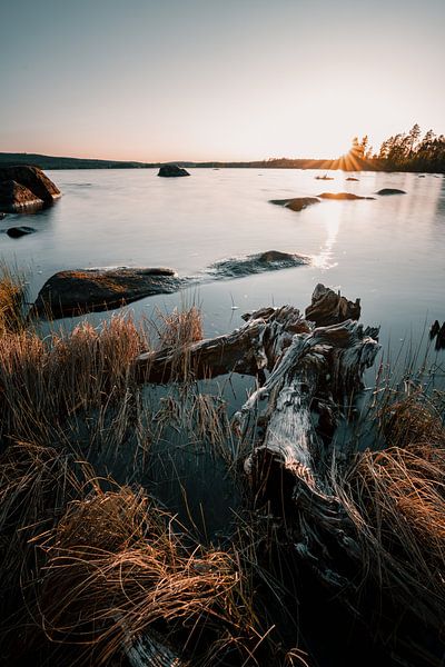Scandinavian sunset with wood texture by Bart cocquart