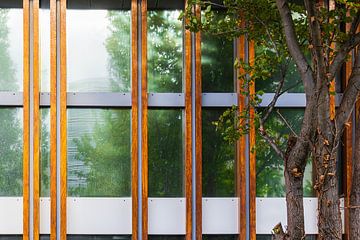 Trees reflected in a window by Cobi de Jong
