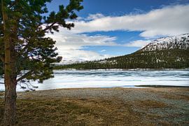 Noors hooggebergte, besneeuwde bergen en landschap van Martin Köbsch