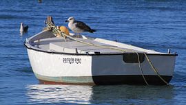 Patron uno. ( Chef ) von Jan Katuin