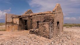 house by Ivana Luijten